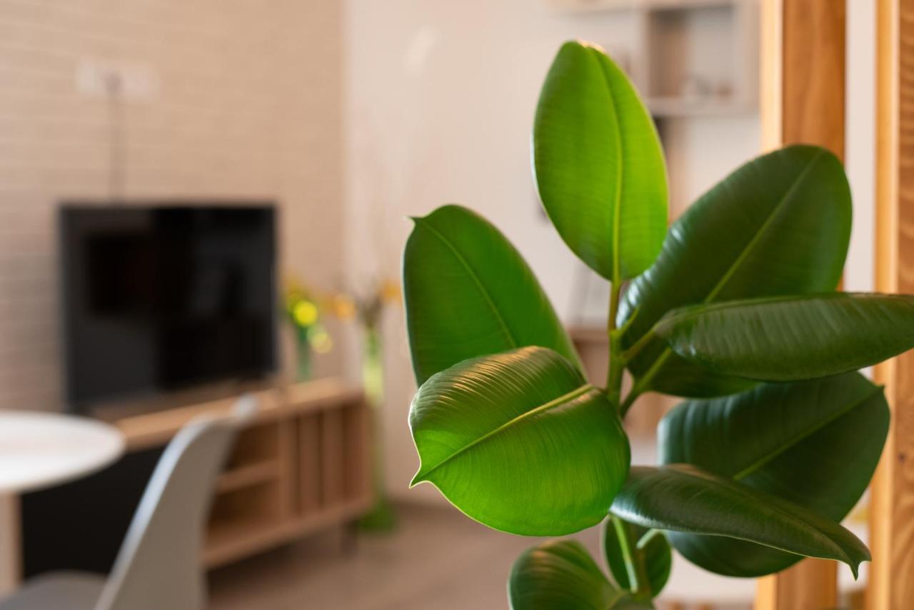 Art Apartment Targu Mures Ngoại thất bức ảnh